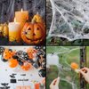 Imagen de Tela araña blanca y negra