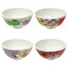 Imagen de Bowl de melamina estampado - Diseños Surtidos