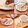 Imagen de Molde para dumpling 19 agujeros