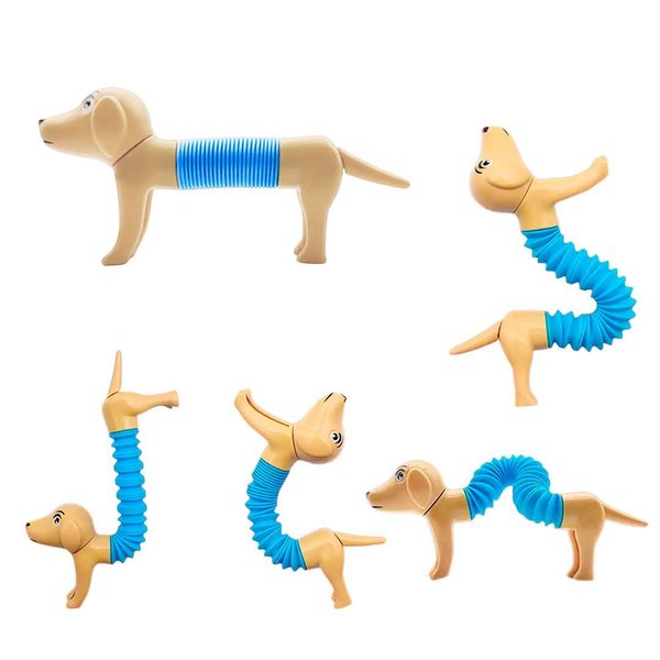 Imagen de Perro extensible pop tube sensorial