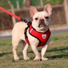 Imagen de Arnés Pechera Para Mascotas con correa Talle XL