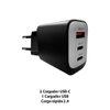 Imagen de Cargador USB + Tipo C
