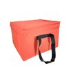 Imagen de Bolso conservadora térmica con cierre y asas - Ideal Camping Playa