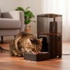 Imagen de Dispensador automático comida para mascota  Bluetooth