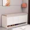 Imagen de Zapatera Banco con asiento Puertas y Estantes