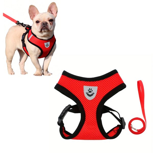 Imagen de Arnés Pechera Para Mascotas con correa Talle XL