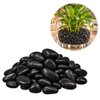 Imagen de Piedras negras en bolsa red - 500gr