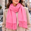 Imagen de Chalina lisa polyester - 70x180cm-12 colores