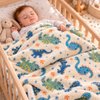 Imagen de Frazada polar color liso infantil 100x70cm - 12 colores