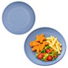 Imagen de Plato plastico PP 22x3cm. - 4 colores