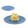 Imagen de Plato ceramica azul 8,75inch