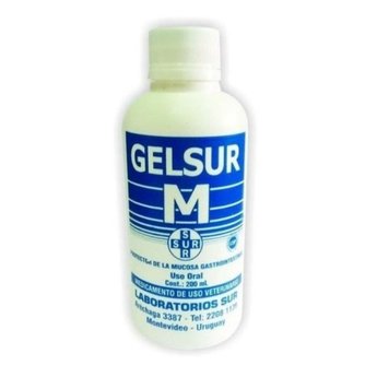 Imagen de Protector De Mucosa Gástrica GELSUR M 200 CC