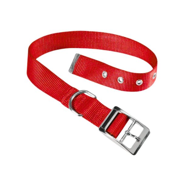 Imagen de Collar Para Perro FERPLAST Club CF 25/45 Color Rojo