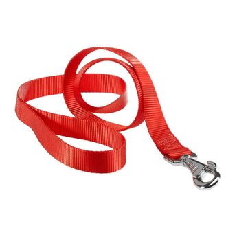 Imagen de Correa Para Perro FERPLAST Club G25/120 Color Rojo