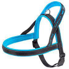 Imagen de PRETAL FERPLAST SPORT DOG P MED BLU PETT.