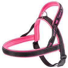 Imagen de PRETAL FERPLAST SPORT DOG LARGE ROSA