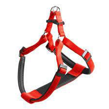 Imagen de PRETAL FERPLAST DAYTONA P EXTRA LARGE ROJO