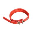 Imagen de Collar Para Perro RIMOPET Con Protección Nro 3