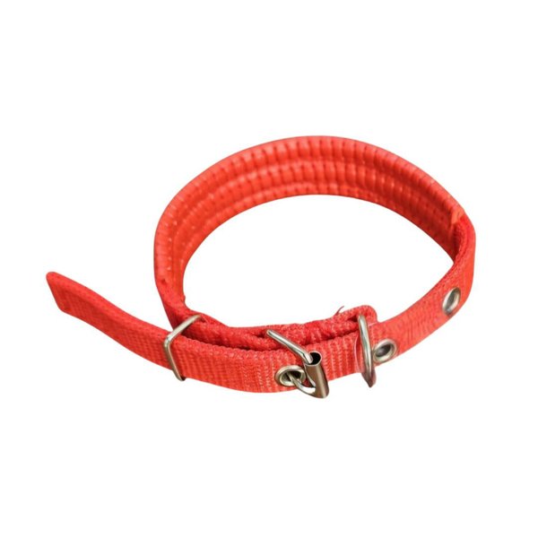 Imagen de Collar Para Perro RIMOPET Con Protección Nro 3