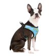Imagen de Arnés Para Perro LILI MASCOTA Fresh Talle S - Varios Diseños