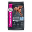 Imagen de Alimento EUKANUBA Perro Adulto Raza Grande 15 kg + Regalo