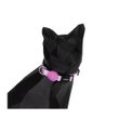 Imagen de Collar Para Gato FREEFARO Lilac