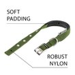 Imagen de Collar Para Perro FERPLAST Daytona C15/35 Verde Oliva