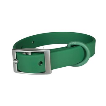 Imagen de Collar Para Perro PEPITO Talle S Verde