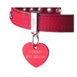 Imagen de Chapita Identificatoria MY FAMILY Corazón Aluminio Rojo