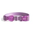 Imagen de Collar Para Perro FREEFARO Lilac Talle P