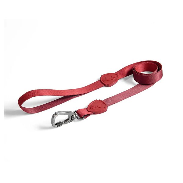 Imagen de Correa Para Perro FREEFARO Pepper Tradicional 1.2 mts Talle P