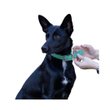 Imagen de Collar Para Perro FERPLAST Greener Soft C25/53 Gris