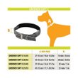 Imagen de Collar Para Perro FERPLAST Greener Soft C15/35 Verde