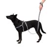 Imagen de Correa Para Perro FERPLAST Greener Soft G15/120 Gris