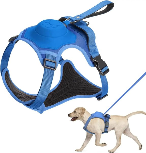 Imagen de Arnés Para Perro Con Correa Extensible Talle M