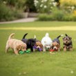 Imagen de Juguete Para Perro CATHRO Hueso Gigante