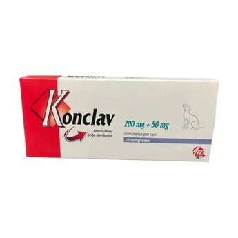 Imagen de Antibiótico KONCLAV 250 mg Blister (10 Comprimidos)