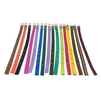 Imagen de Collar Para Perro Cinta Lisa Nro 3