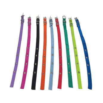 Imagen de Collar Para Perro Cinta Nro 2