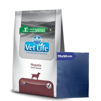 Imagen de Alimento VET LIFE Perro Hepatic 10 kg + Regalo