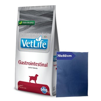 Imagen de Alimento VET LIFE Perro Gastro-Intestinal 10 kg + Regalo
