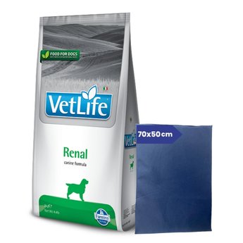 Imagen de Alimento VET LIFE Perro Renal 10 kg + Regalo