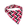 Imagen de Collar Para Perro Bandana Trenzada Grande