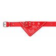 Imagen de Collar Para Perro LILI MASCOTA Bandana Nro 3