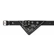 Imagen de Collar Para Perro LILI MASCOTA Bandana Nro 3