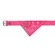 Imagen de Collar Para Perro LILI MASCOTA Bandana Nro 3