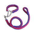 Imagen de Correa Para Perro Trenzada Con Collar