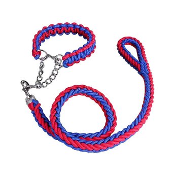Imagen de Correa Para Perro Trenzada Con Collar Semi Ahorque