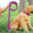Imagen de Correa Para Perro Trenzada Con Collar