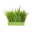 Imagen de Kit Para Pasto Rectangular